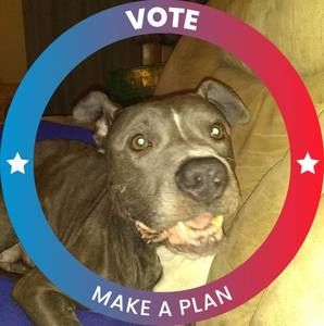 Meet your Posher, Bryan